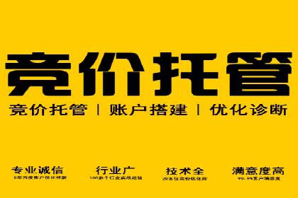 SEM广告投放中的数据分析和优化案例